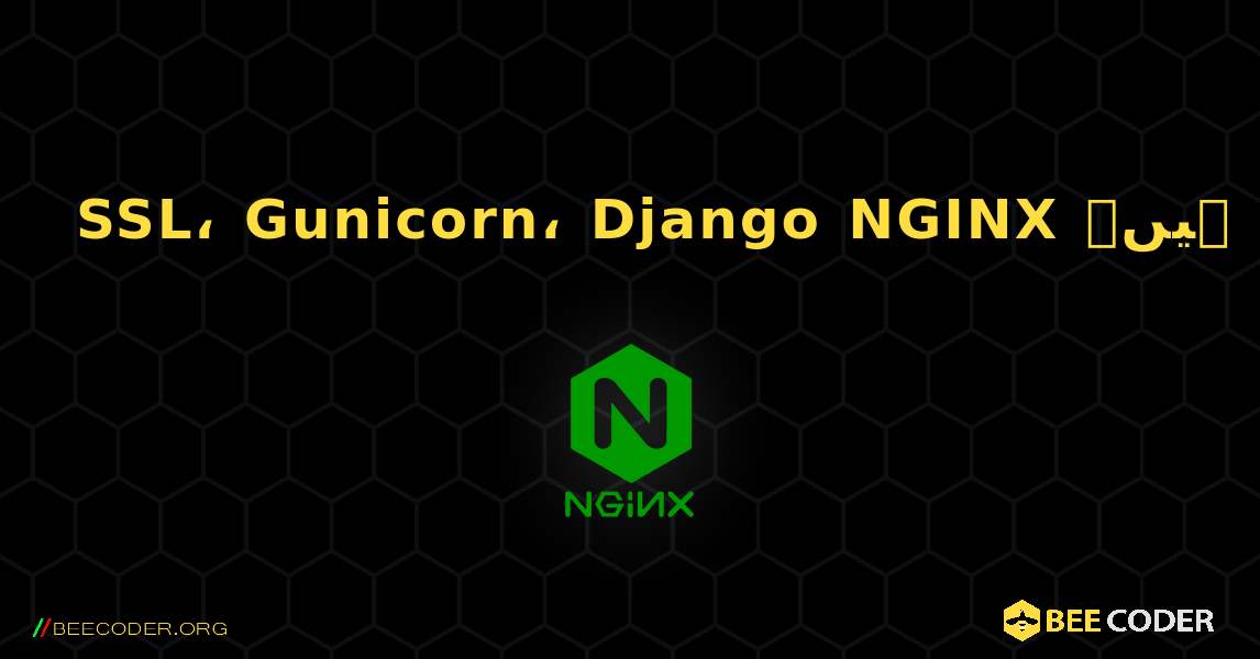 SSL، Gunicorn، Django NGINX سے جڑتے ہیں۔. NGINX