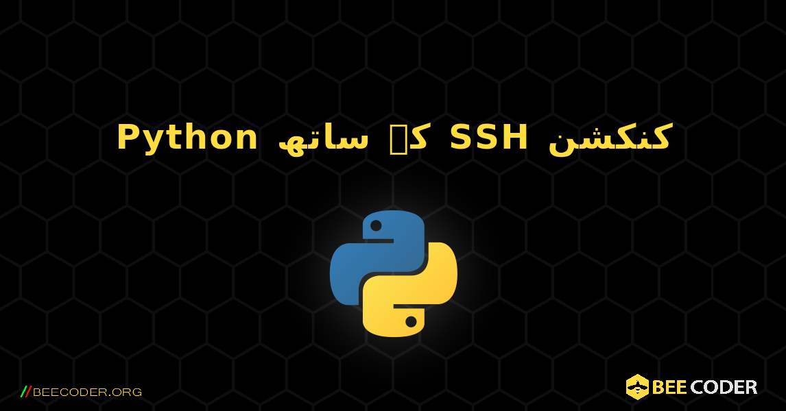 Python کے ساتھ SSH کنکشن. Python