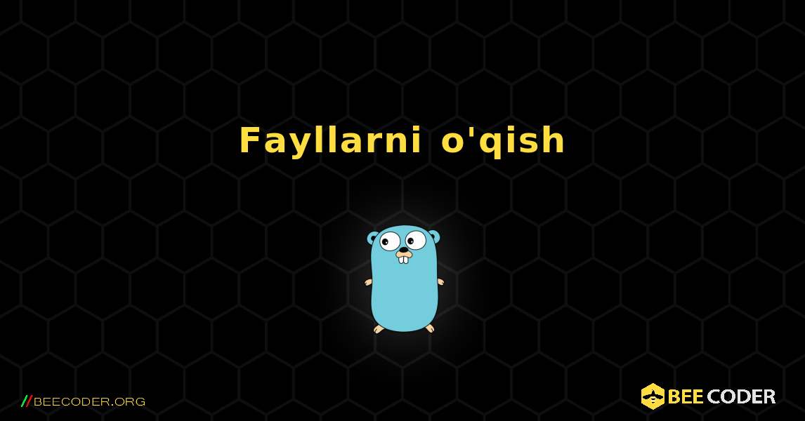 Fayllarni o'qish. GoLang