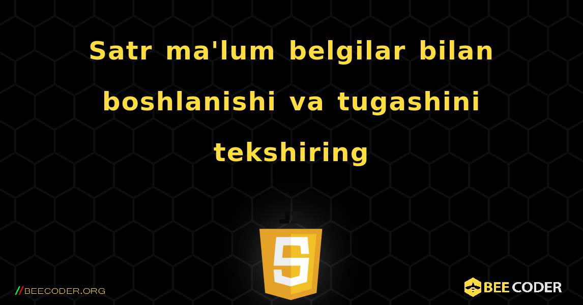 Satr ma'lum belgilar bilan boshlanishi va tugashini tekshiring. JavaScript