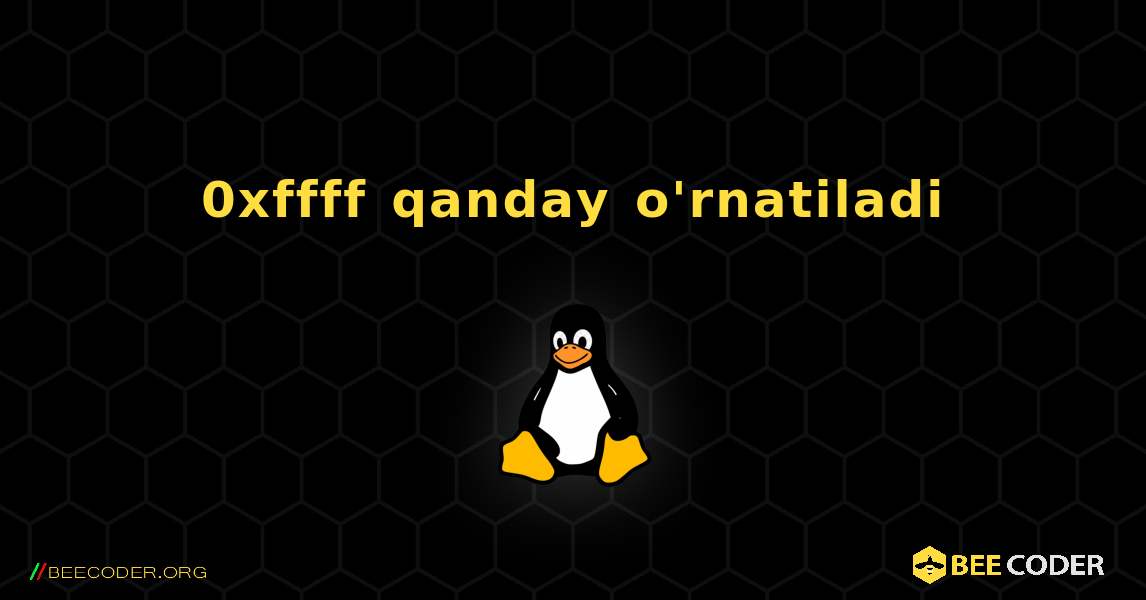 0xffff  qanday o'rnatiladi. Linux