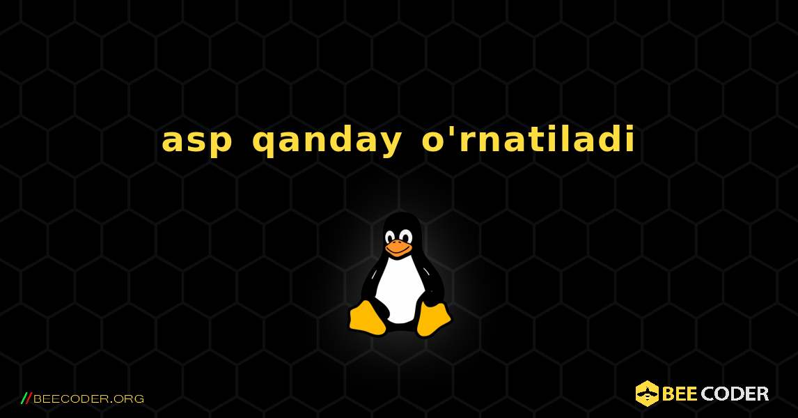 asp  qanday o'rnatiladi. Linux
