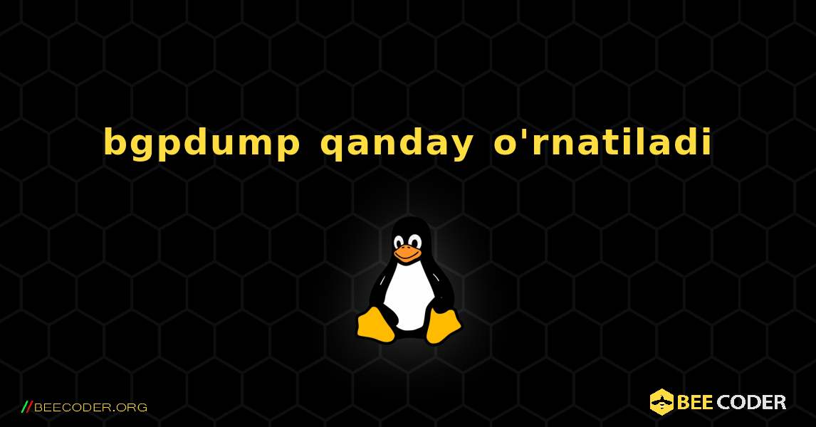 bgpdump  qanday o'rnatiladi. Linux