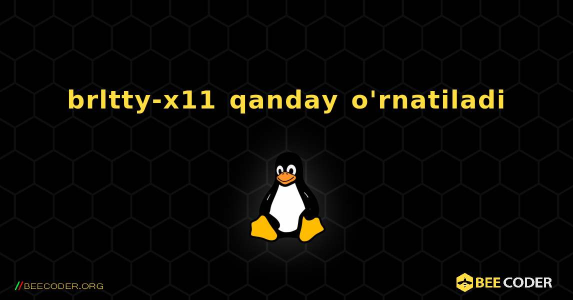 brltty-x11  qanday o'rnatiladi. Linux