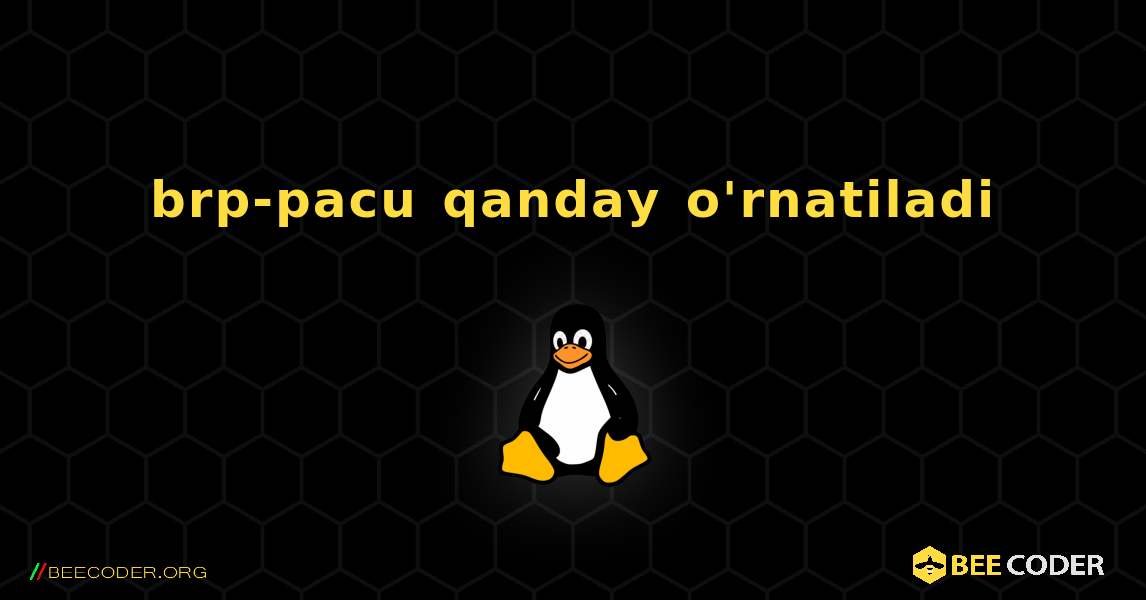 brp-pacu  qanday o'rnatiladi. Linux