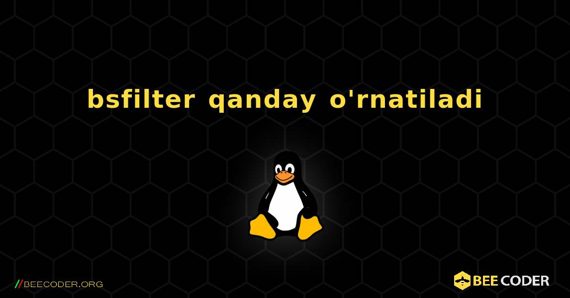 bsfilter  qanday o'rnatiladi. Linux