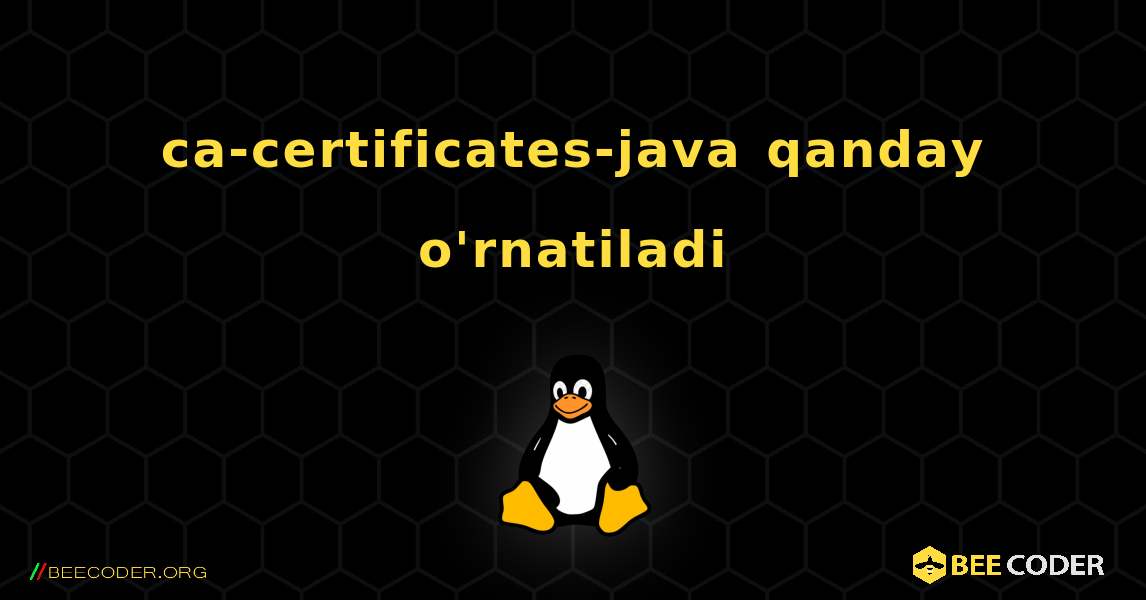 ca-certificates-java  qanday o'rnatiladi. Linux