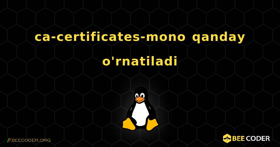 ca-certificates-mono  qanday o'rnatiladi. Linux
