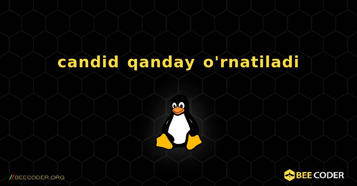 candid  qanday o'rnatiladi. Linux