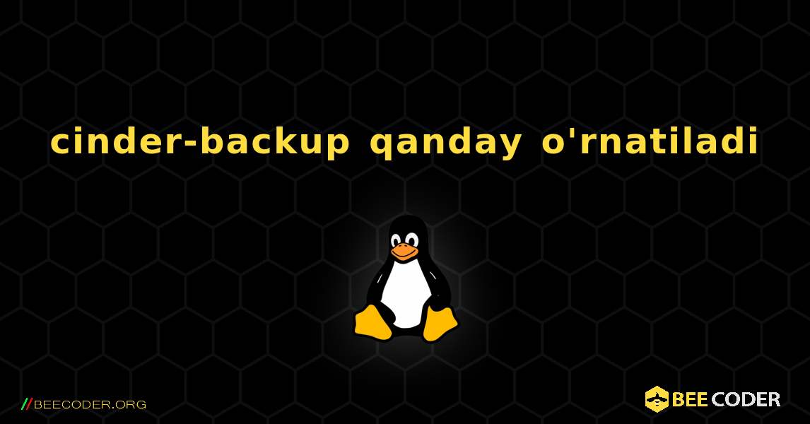 cinder-backup  qanday o'rnatiladi. Linux