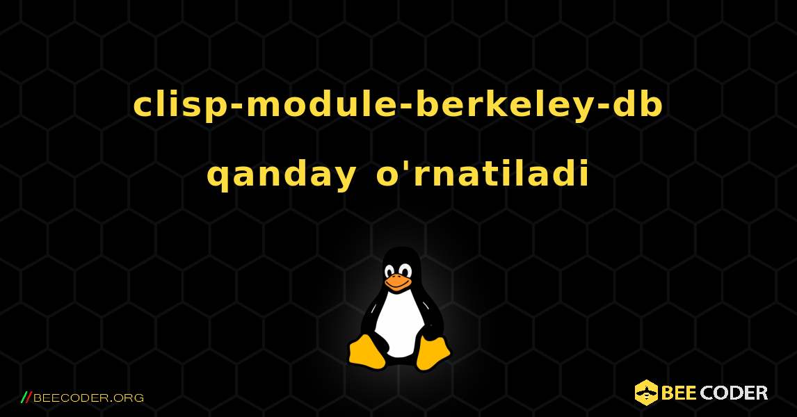 clisp-module-berkeley-db  qanday o'rnatiladi. Linux