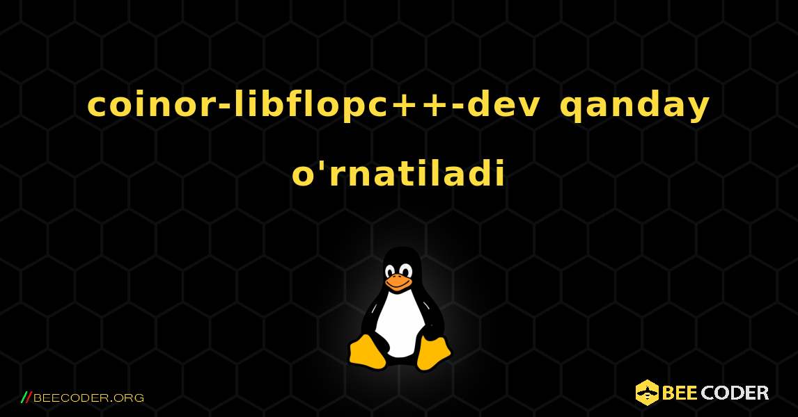 coinor-libflopc++-dev  qanday o'rnatiladi. Linux