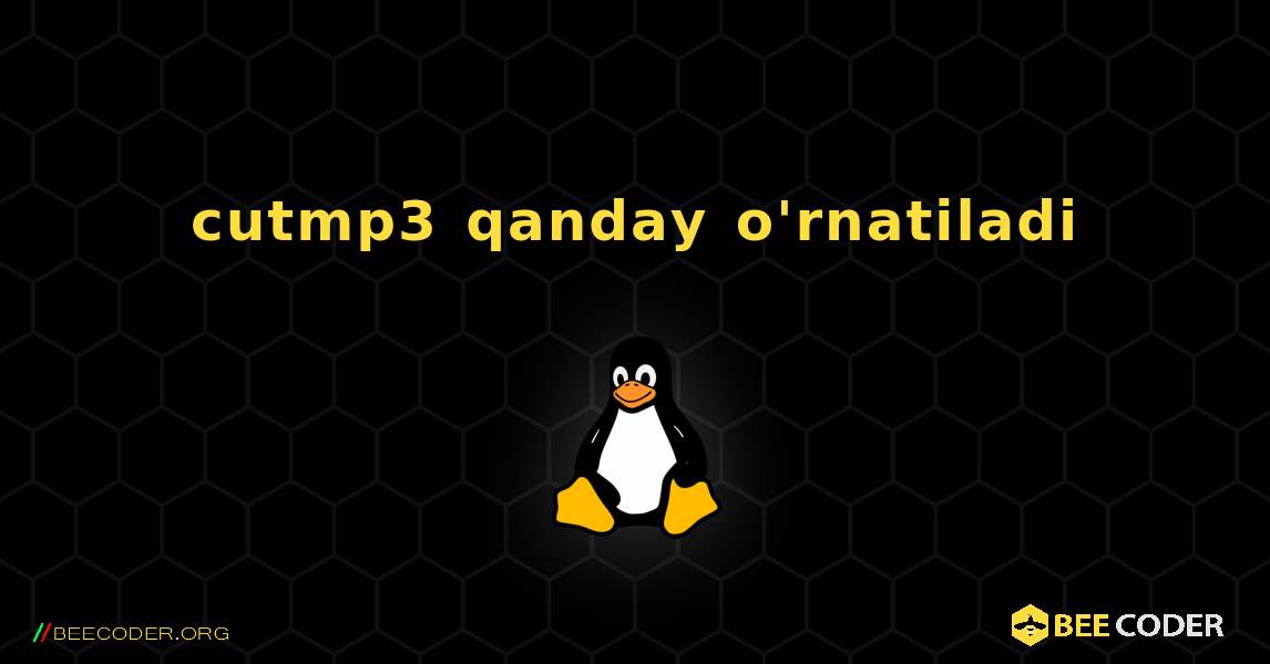 cutmp3  qanday o'rnatiladi. Linux