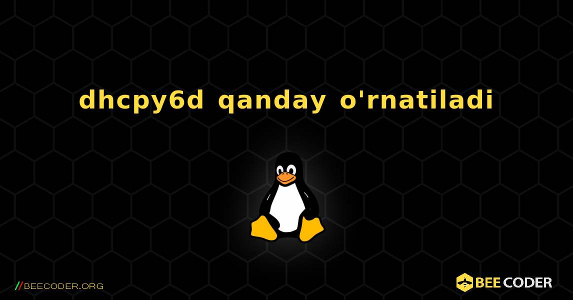 dhcpy6d  qanday o'rnatiladi. Linux