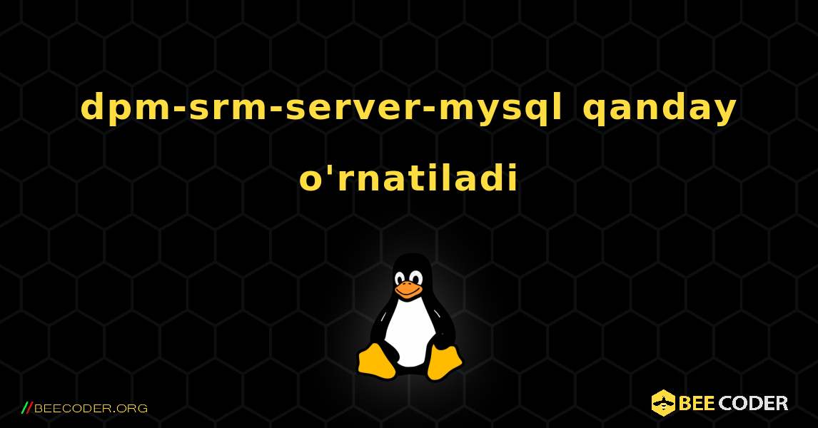 dpm-srm-server-mysql  qanday o'rnatiladi. Linux