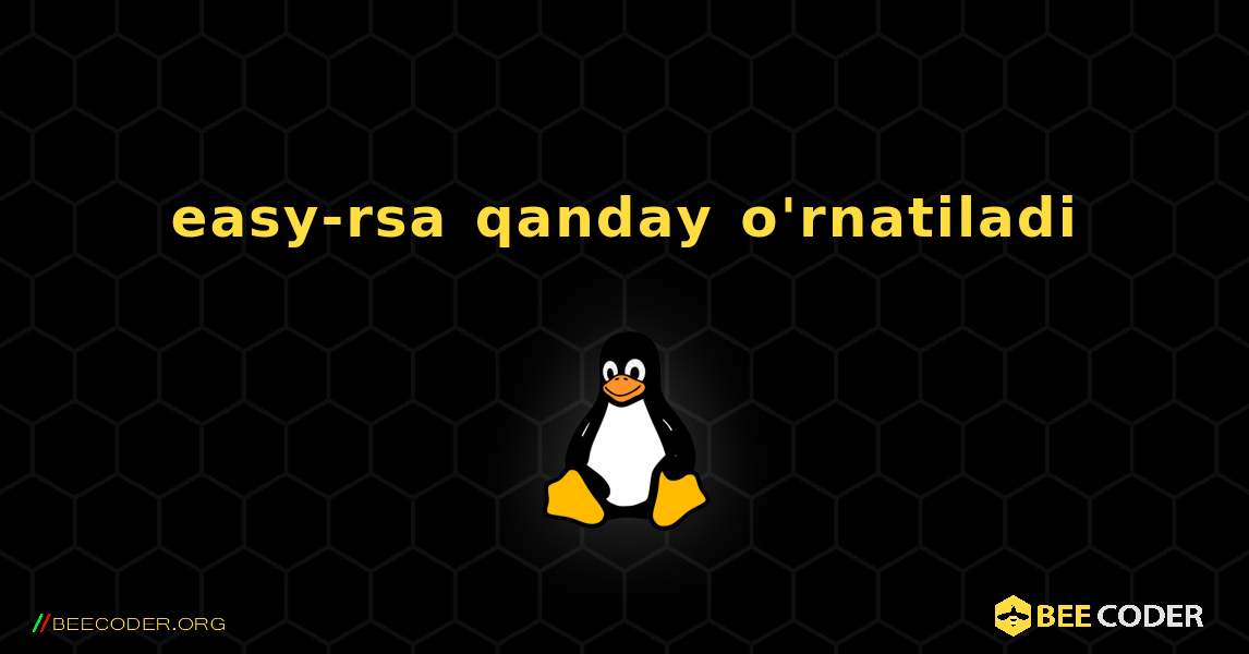 easy-rsa  qanday o'rnatiladi. Linux
