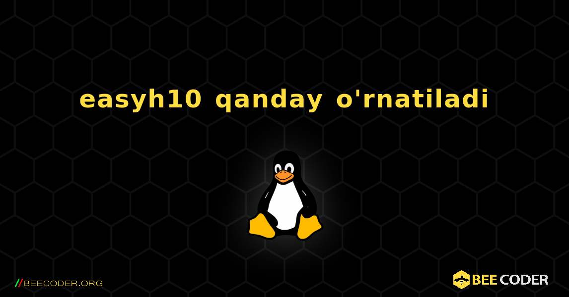 easyh10  qanday o'rnatiladi. Linux