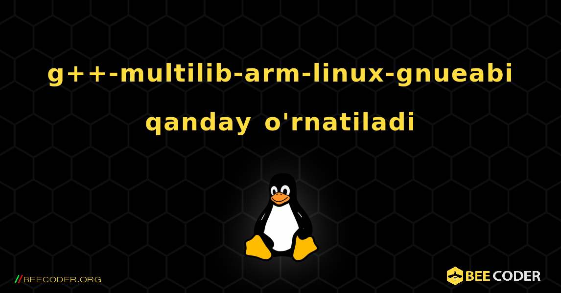 g++-multilib-arm-linux-gnueabi  qanday o'rnatiladi. Linux