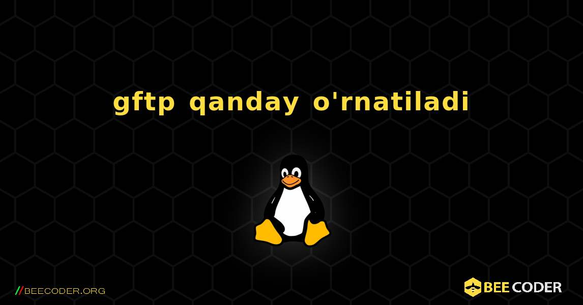 gftp  qanday o'rnatiladi. Linux