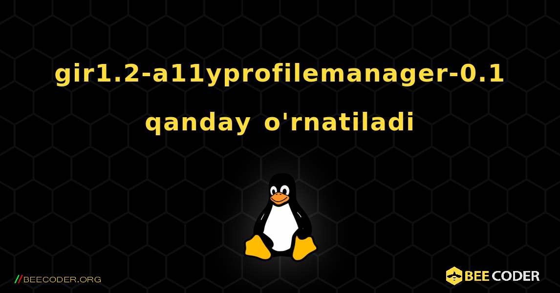 gir1.2-a11yprofilemanager-0.1  qanday o'rnatiladi. Linux
