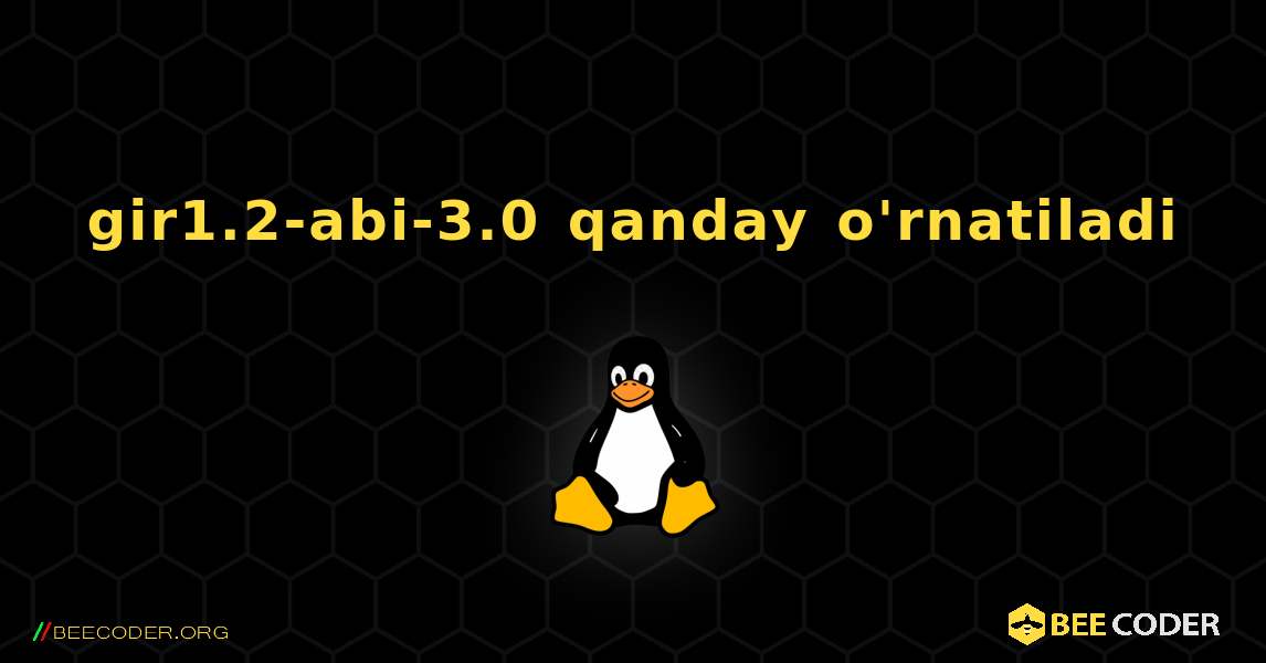 gir1.2-abi-3.0  qanday o'rnatiladi. Linux