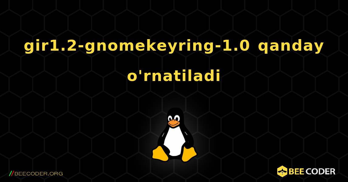 gir1.2-gnomekeyring-1.0  qanday o'rnatiladi. Linux