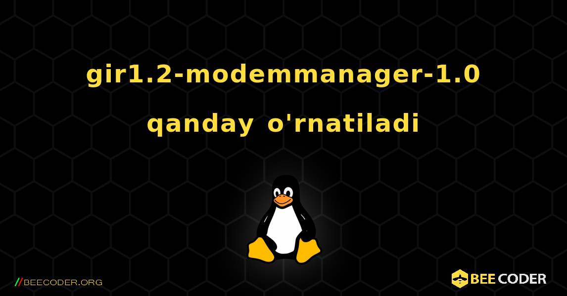 gir1.2-modemmanager-1.0  qanday o'rnatiladi. Linux