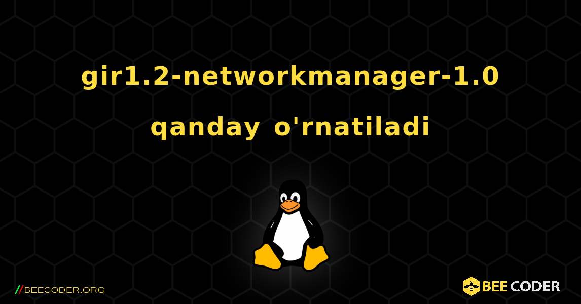 gir1.2-networkmanager-1.0  qanday o'rnatiladi. Linux