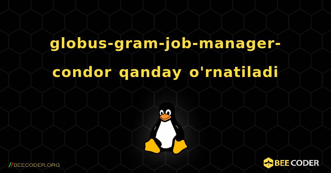 globus-gram-job-manager-condor  qanday o'rnatiladi. Linux