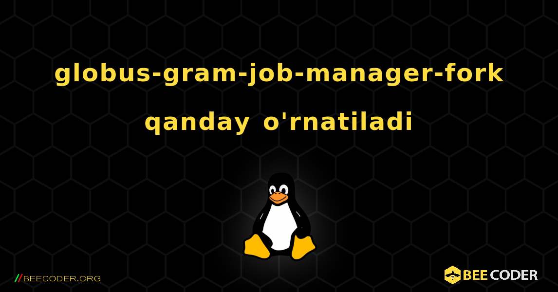 globus-gram-job-manager-fork  qanday o'rnatiladi. Linux