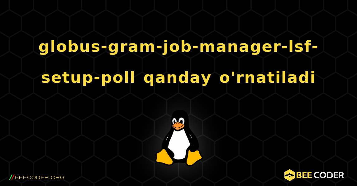 globus-gram-job-manager-lsf-setup-poll  qanday o'rnatiladi. Linux