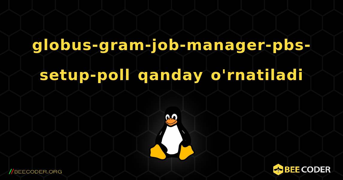 globus-gram-job-manager-pbs-setup-poll  qanday o'rnatiladi. Linux