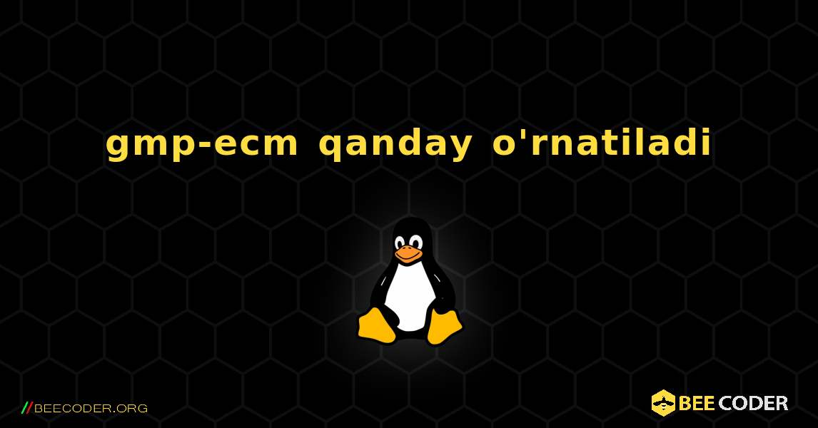 gmp-ecm  qanday o'rnatiladi. Linux