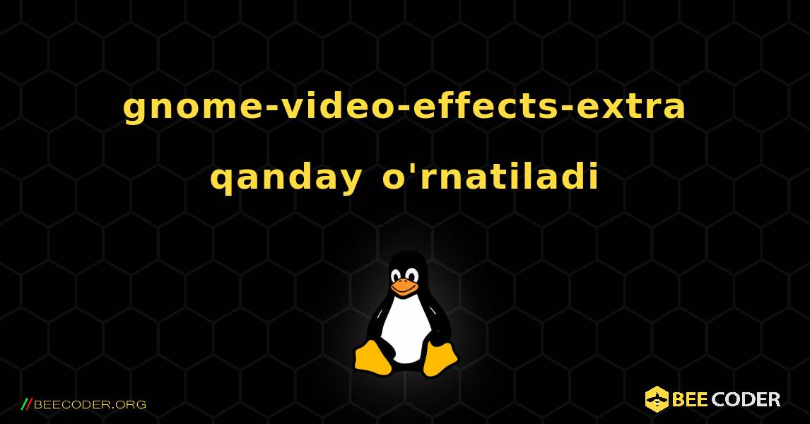 gnome-video-effects-extra  qanday o'rnatiladi. Linux