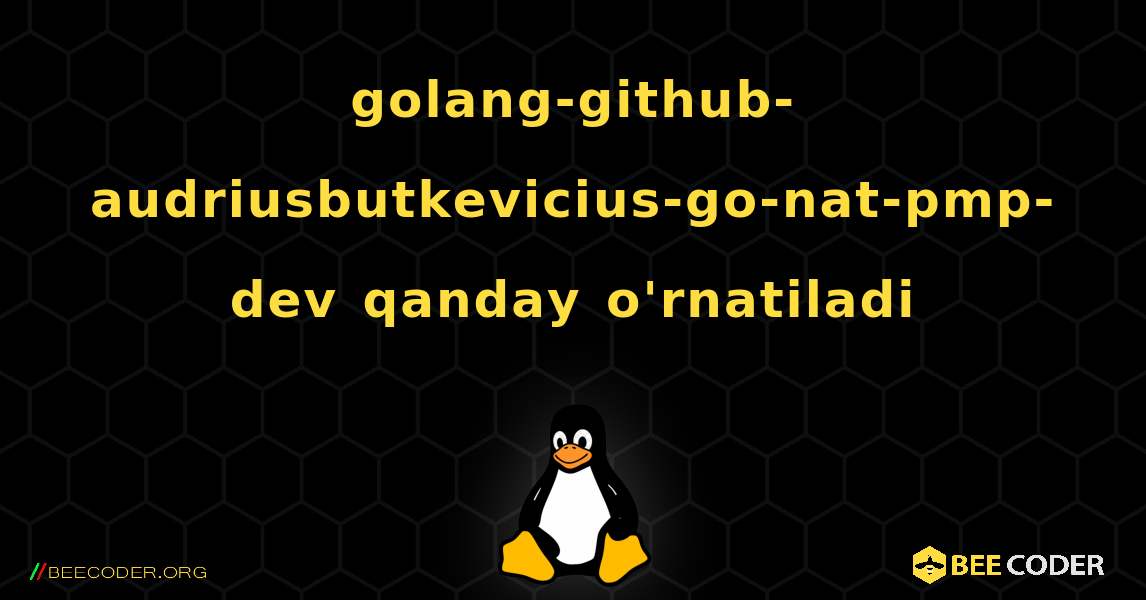 golang-github-audriusbutkevicius-go-nat-pmp-dev  qanday o'rnatiladi. Linux