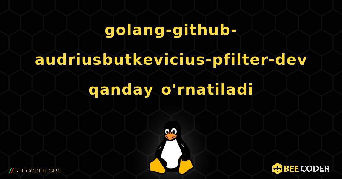 golang-github-audriusbutkevicius-pfilter-dev  qanday o'rnatiladi. Linux