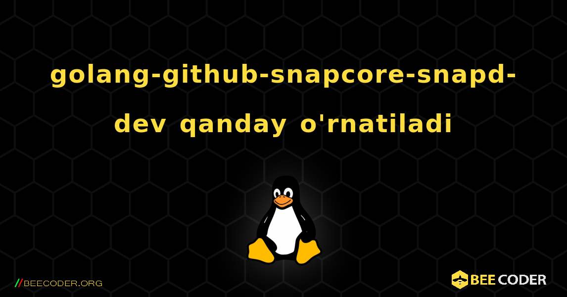 golang-github-snapcore-snapd-dev  qanday o'rnatiladi. Linux