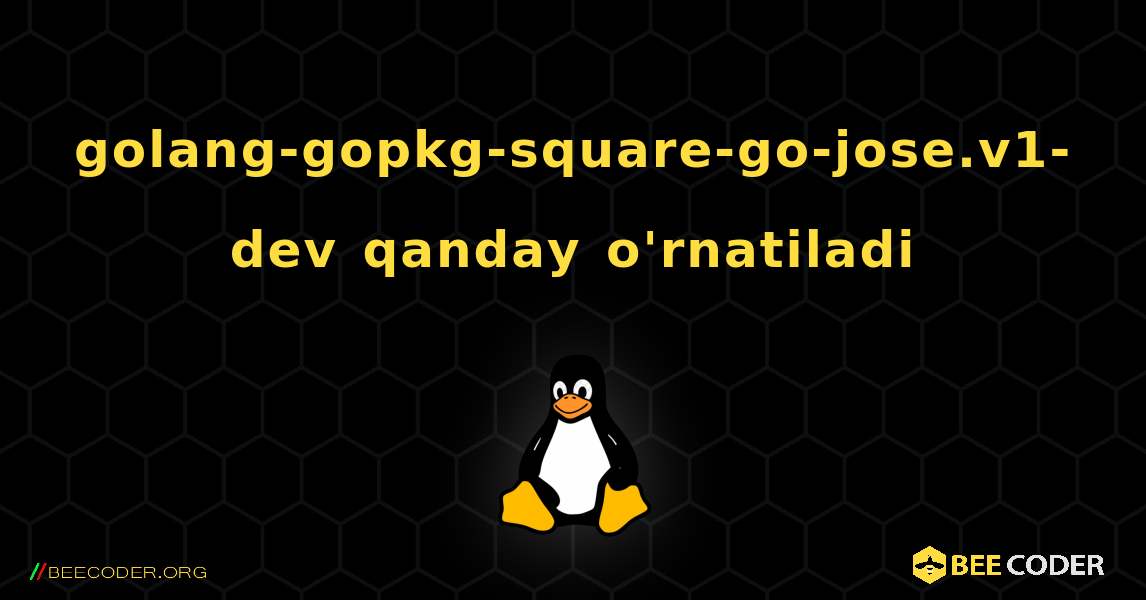 golang-gopkg-square-go-jose.v1-dev  qanday o'rnatiladi. Linux