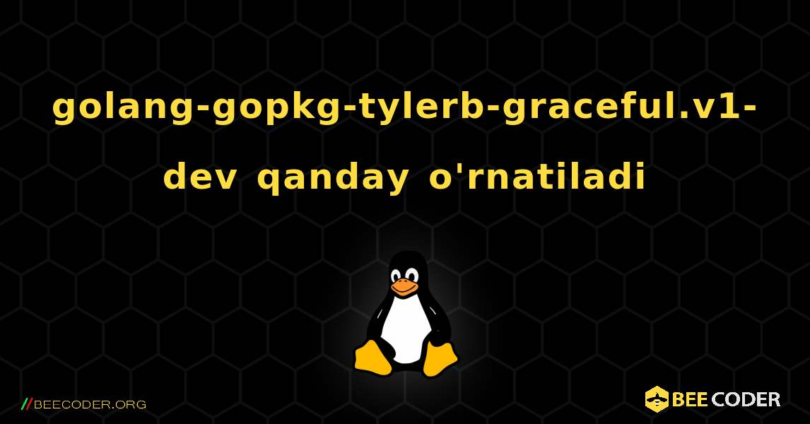 golang-gopkg-tylerb-graceful.v1-dev  qanday o'rnatiladi. Linux