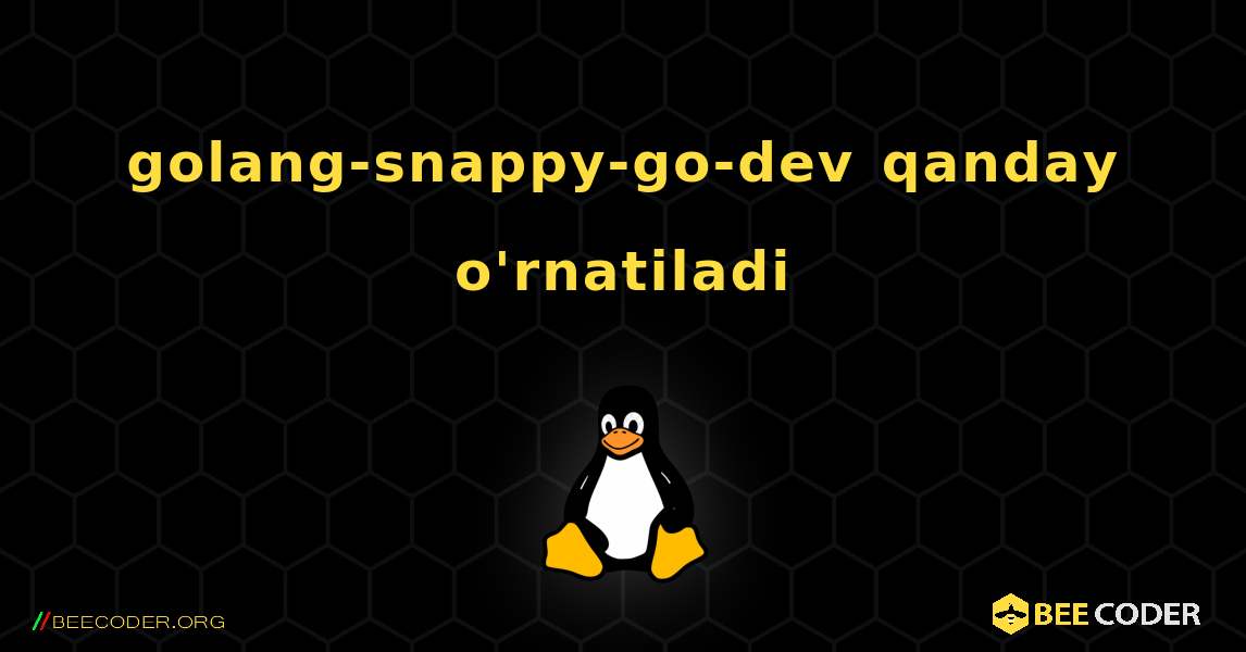 golang-snappy-go-dev  qanday o'rnatiladi. Linux