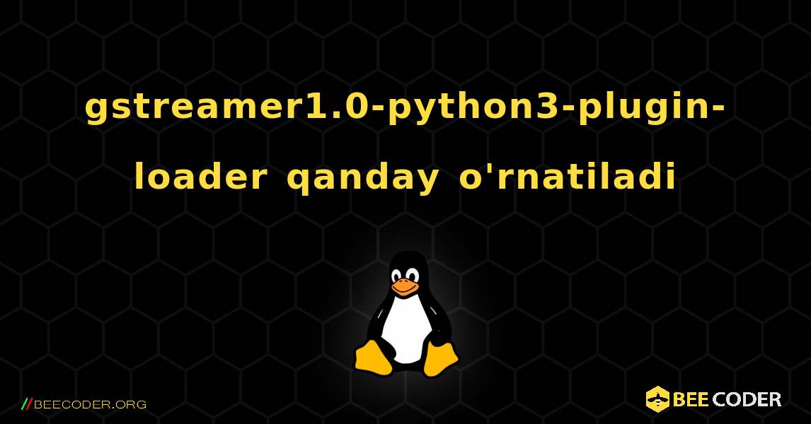 gstreamer1.0-python3-plugin-loader  qanday o'rnatiladi. Linux