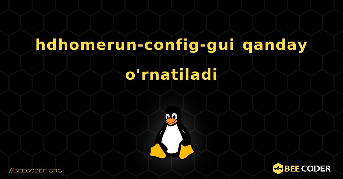hdhomerun-config-gui  qanday o'rnatiladi. Linux