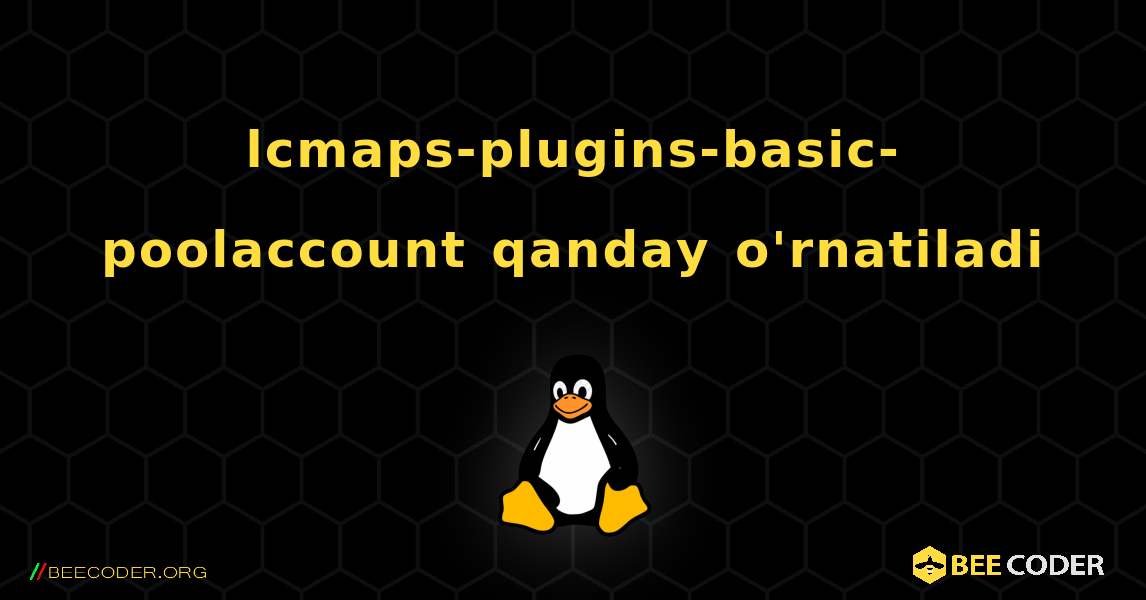 lcmaps-plugins-basic-poolaccount  qanday o'rnatiladi. Linux