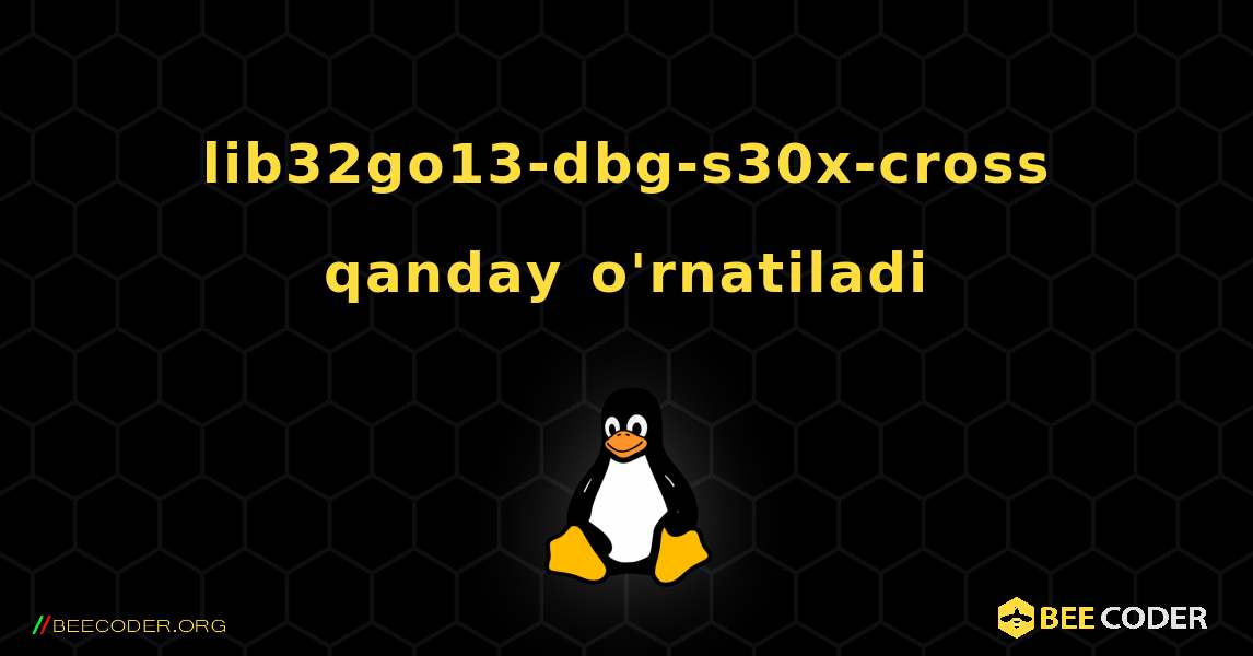 lib32go13-dbg-s30x-cross  qanday o'rnatiladi. Linux