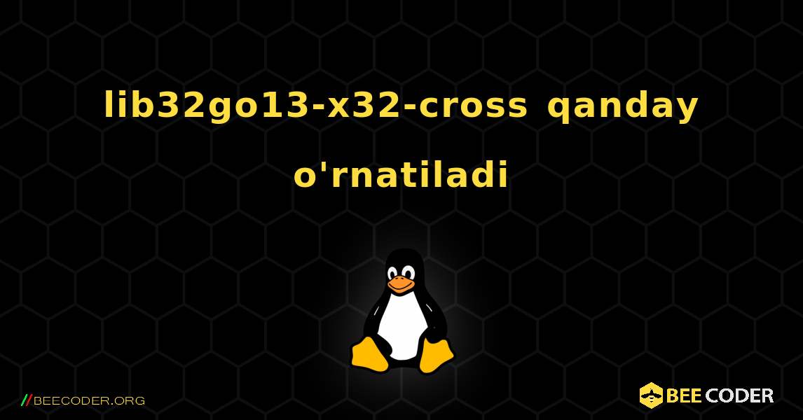 lib32go13-x32-cross  qanday o'rnatiladi. Linux
