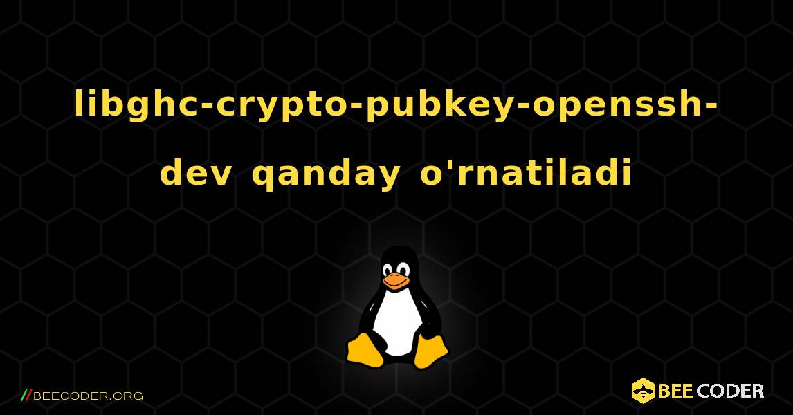 libghc-crypto-pubkey-openssh-dev  qanday o'rnatiladi. Linux