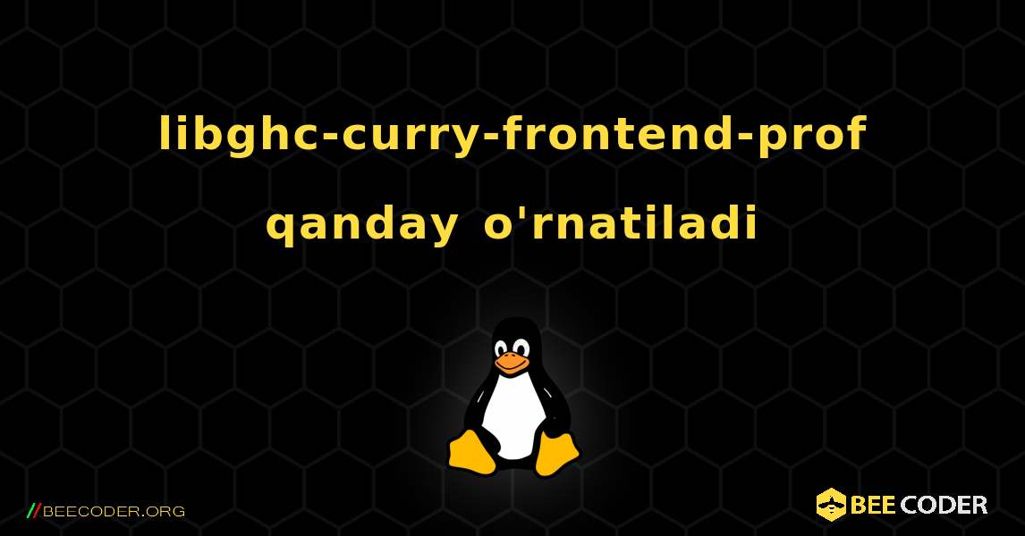 libghc-curry-frontend-prof  qanday o'rnatiladi. Linux