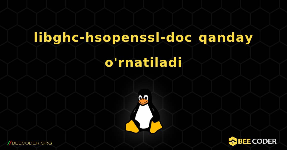 libghc-hsopenssl-doc  qanday o'rnatiladi. Linux