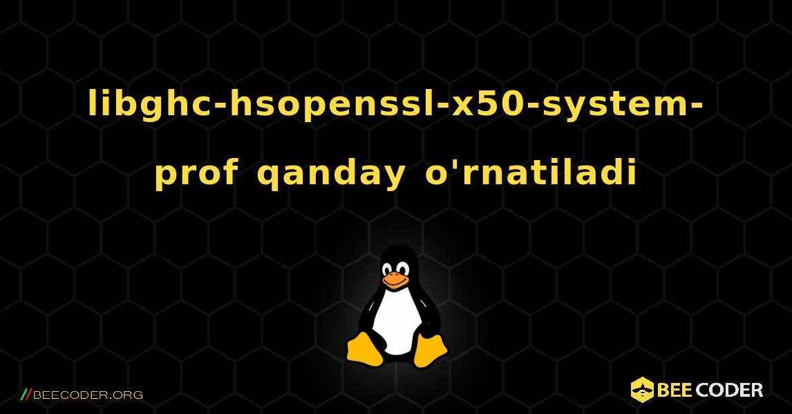 libghc-hsopenssl-x50-system-prof  qanday o'rnatiladi. Linux