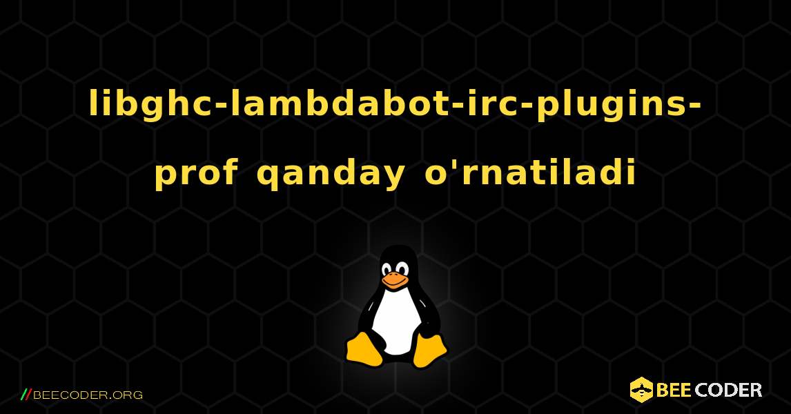 libghc-lambdabot-irc-plugins-prof  qanday o'rnatiladi. Linux